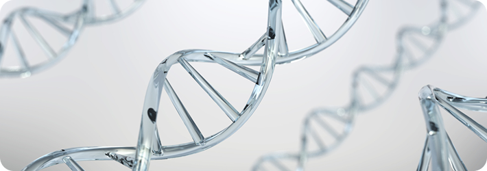 PN(Polynucleotide)